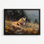 Red Fox v.8
