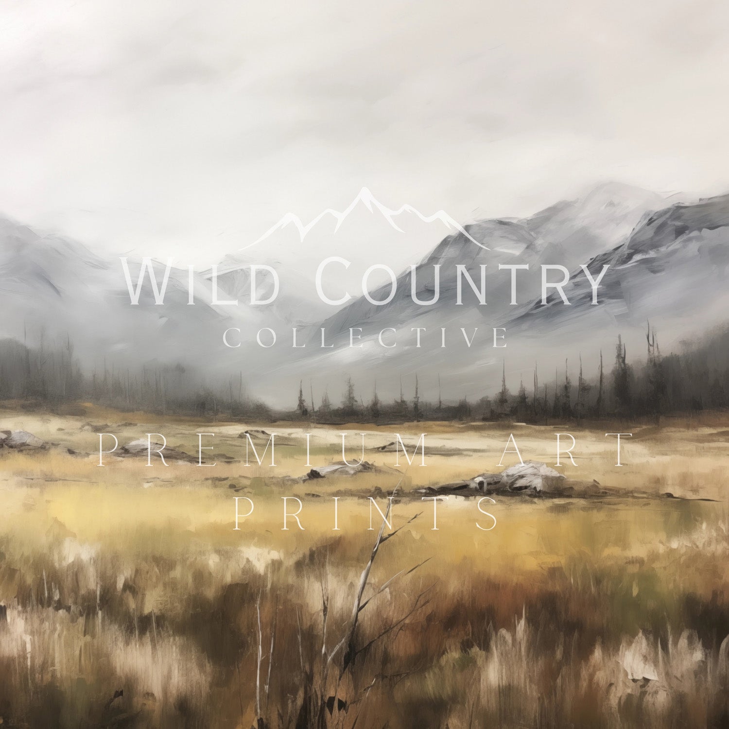 a serene landscape with a vast field, mountains in the distance, and a cloudy sky.