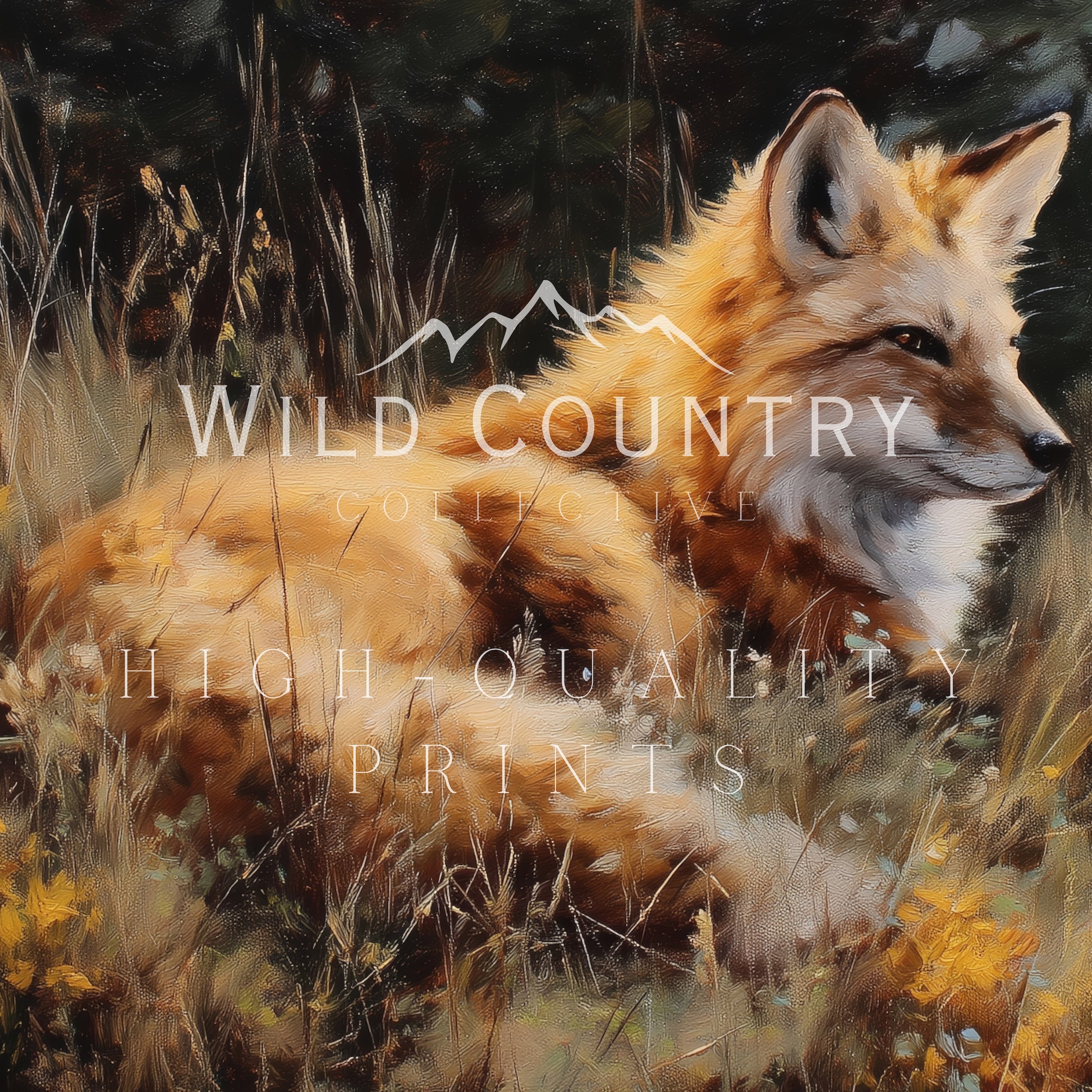a fox resting in a field of tall grass, with mountains visible in the background.