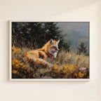 Red Fox v.8