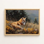 Red Fox v.8